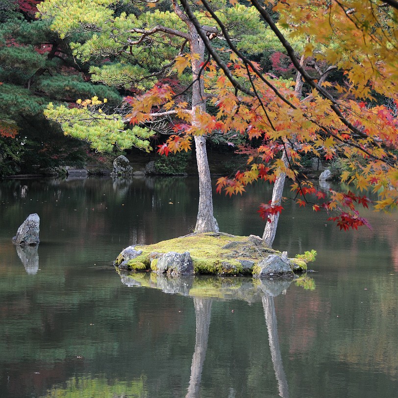 DSC_4215 Kinkaku-ji, Goldener-Pavillon-Tempel, ist ein buddhistischer Tempel im Nordwesten der japanischen Stadt Kyoto in deren Stadtbezirk Kita-ku. Sein eigentlicher...