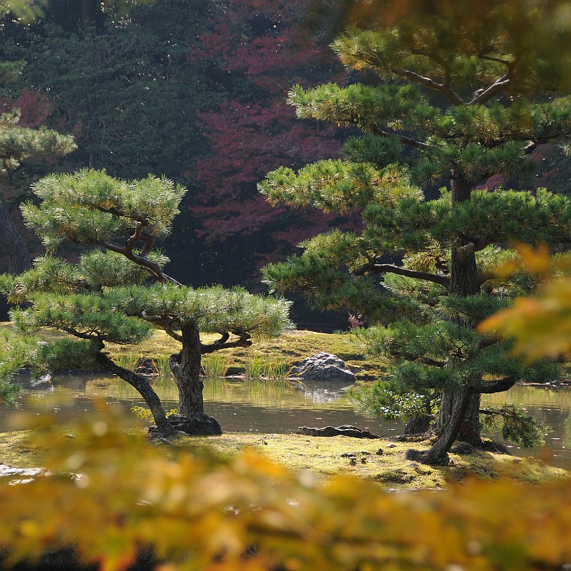 DSC_4232 Kinkaku-ji, Goldener-Pavillon-Tempel, ist ein buddhistischer Tempel im Nordwesten der japanischen Stadt Kyoto in deren Stadtbezirk Kita-ku. Sein eigentlicher...