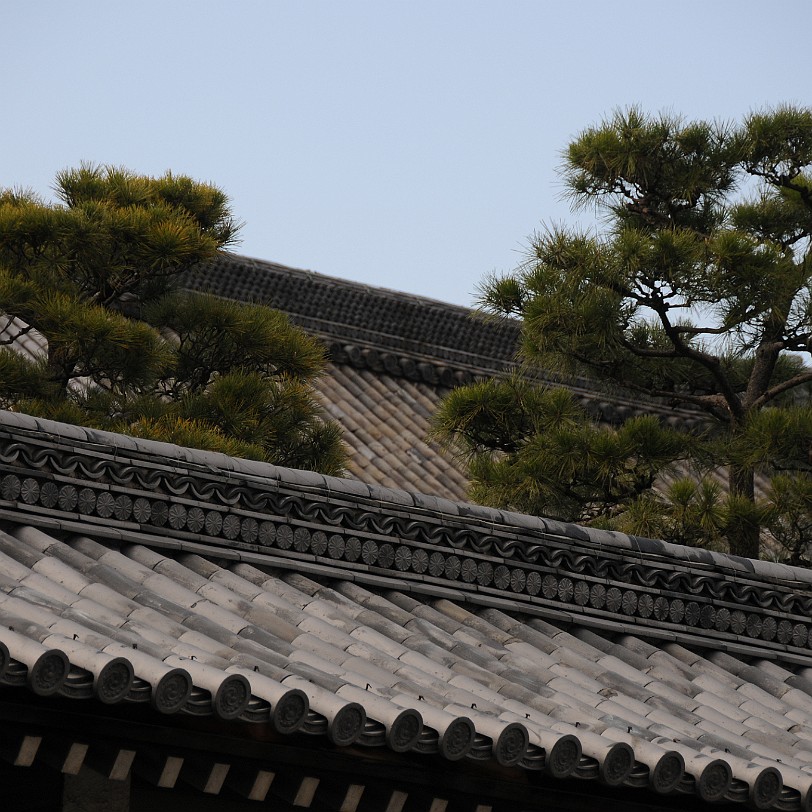 DSC_4300 Nijo-jo ist eine japanische Burganlage und ehemaliger Sitz des Shoguns in Kyoto, der ehemaligen Hauptstadt Japans. Die Burg erhielt den Namen wegen der Straße...