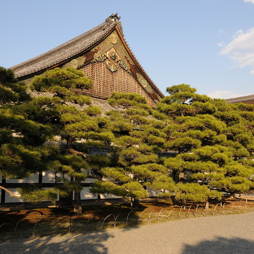 DSC_4334 Nijo-jo ist eine japanische Burganlage und ehemaliger Sitz des Shoguns in Kyoto, der ehemaligen Hauptstadt Japans. Die Burg erhielt den Namen wegen der Straße...