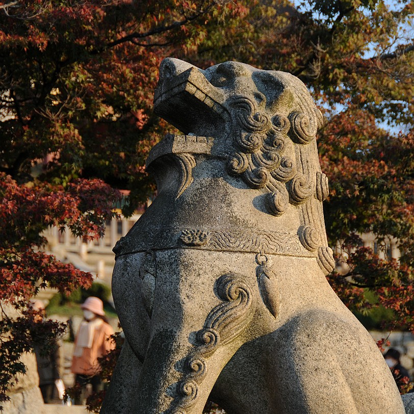 DSC_4380 Kiyomizu-dera bezeichnet mehrere buddhistische Tempel, aber meistens ist damit der Otowasan Kiyomizudera in Ost-Kyoto (Stadtbezirk Higashiyama) gemeint, eine...