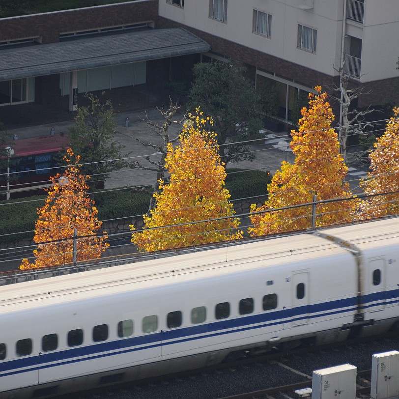 DSC_4742 Hauptbahnhof von Kyoto