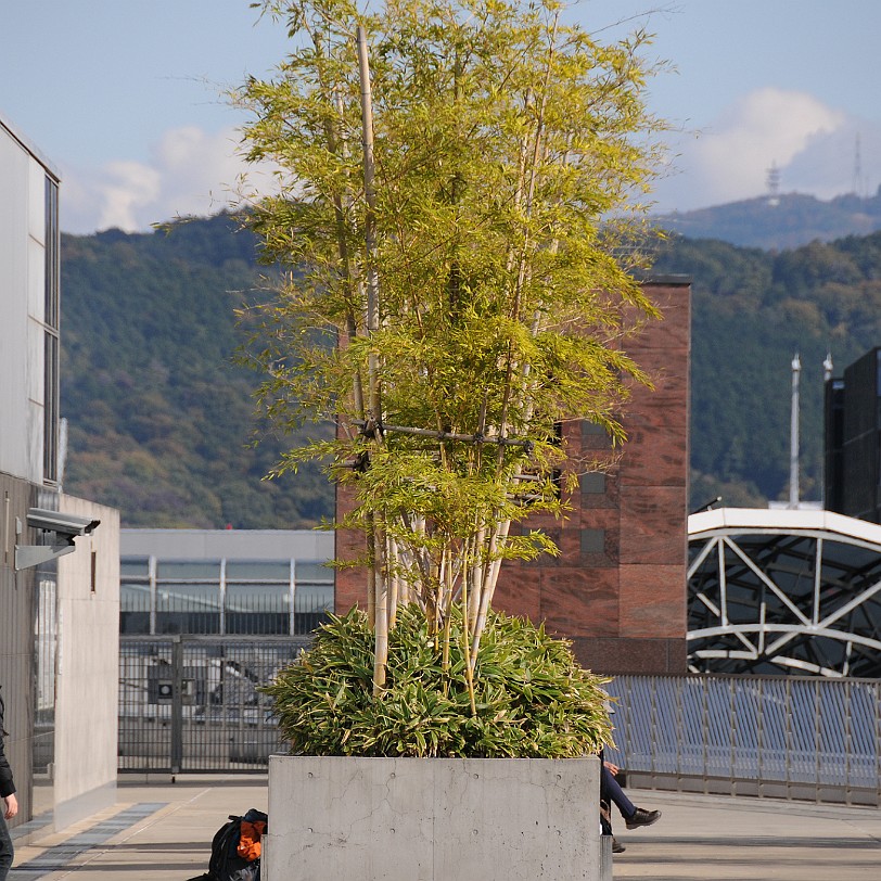 DSC_4748 Hauptbahnhof von Kyoto, die Terrasse