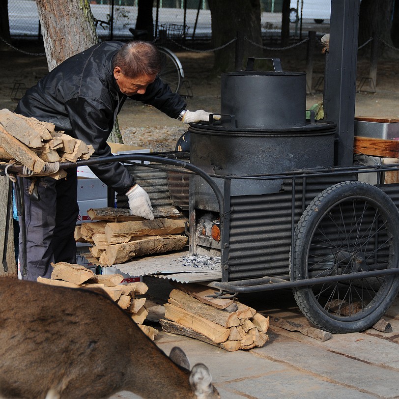 DSC_4955 Nara