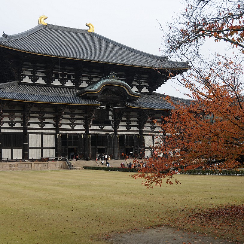 DSC_4966 Der Todai-ji, wörtlich: östlicher großer Tempel, ist ein buddhistischer Tempel in der Stadt Nara. Er beherbergt die größte buddhistische Bronzestatue und ist...