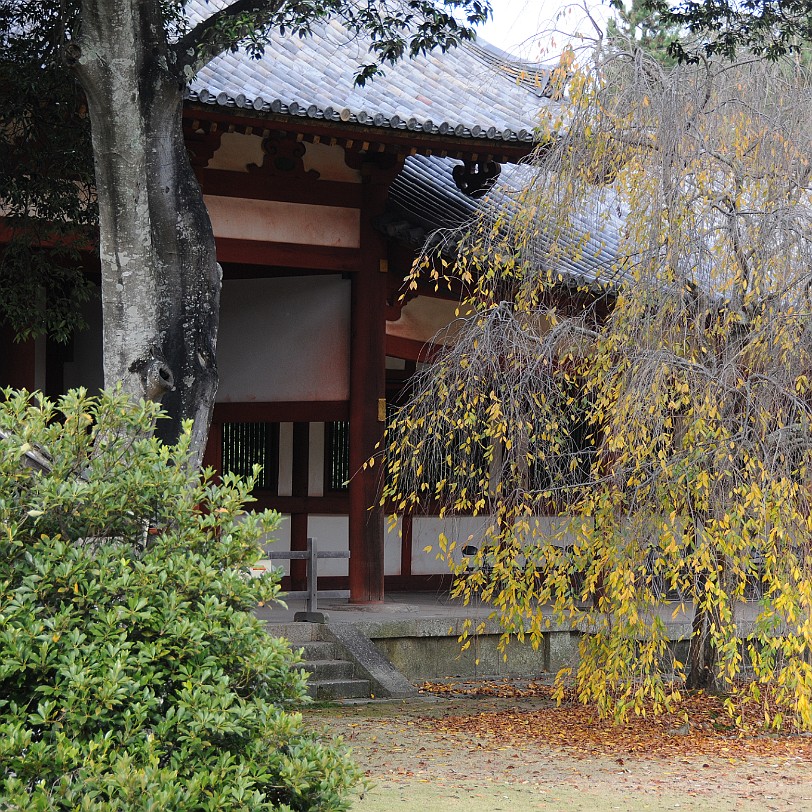 DSC_4969 Der Todai-ji, wörtlich: östlicher großer Tempel, ist ein buddhistischer Tempel in der Stadt Nara. Er beherbergt die größte buddhistische Bronzestatue und ist...