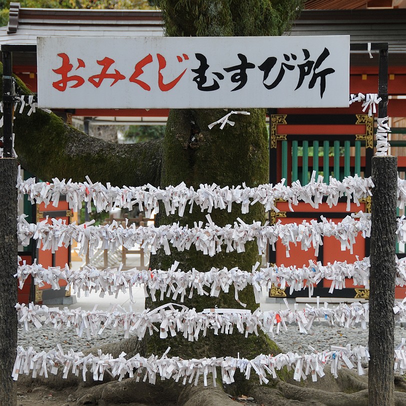 DSC_5313 Omikuji (übersetzt etwa Lotterie-Orakel Mikuji) sind Papierstreifen, auf welche Wahrsagungen geschrieben und die in Shinto-Schreinen und buddhistischen...