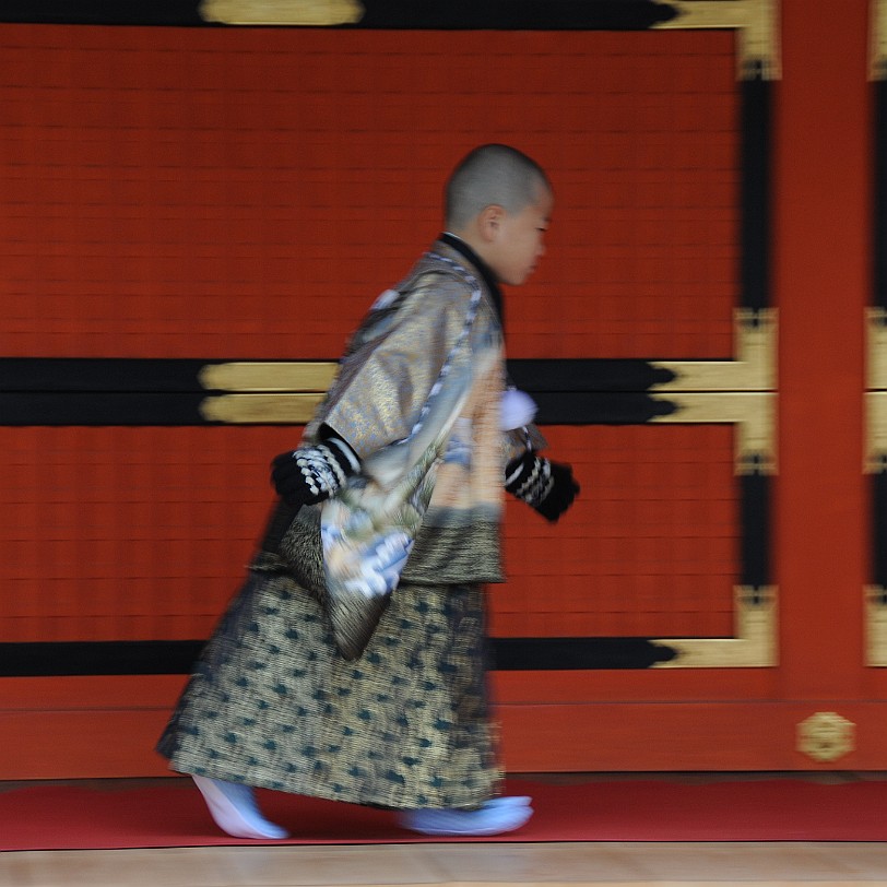 DSC_5318 Shichi-Go-San (Sieben-Fünf-Drei) Fest: Wenn in Japan ein Kind drei, fünf und sieben Jahre alt wird, geht es in prächtigen Kostümen zum Schrein. Die Eltern...