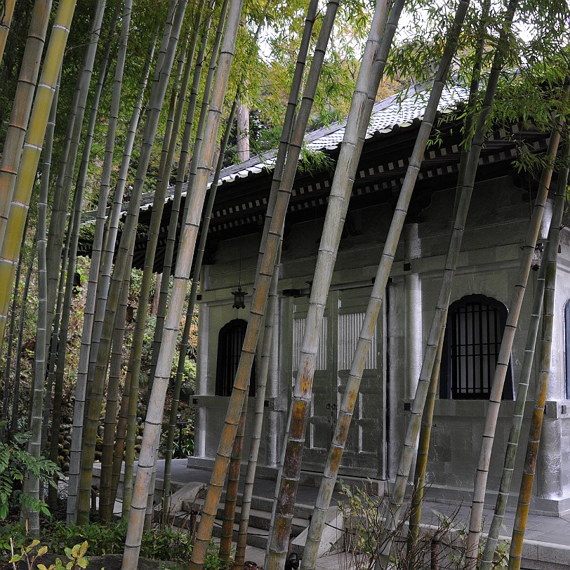 DSC_5672 Hase-Dera Tempel