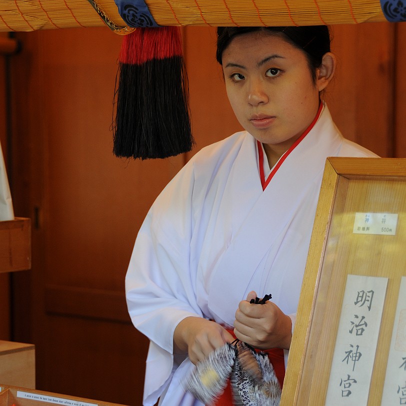 DSC_5828 Meiji-jingu