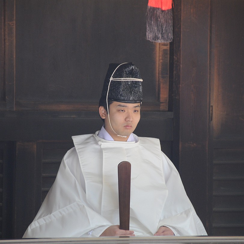 DSC_5833 Meiji-jingu