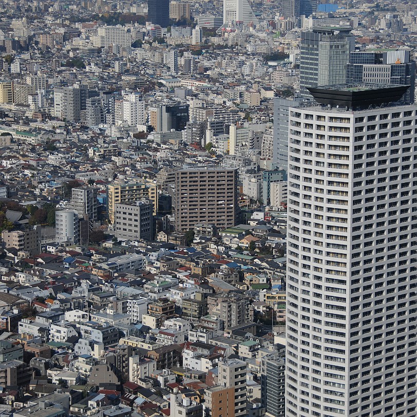 DSC_5880 Das Tokyo Metropolitan Government Building