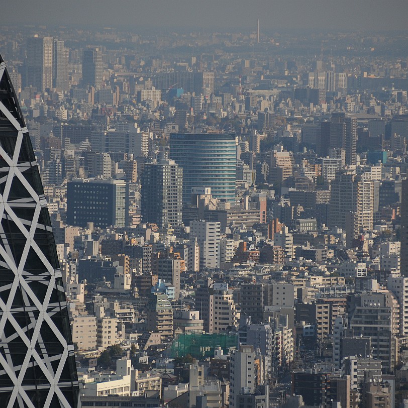 DSC_5884 Das Tokyo Metropolitan Government Building