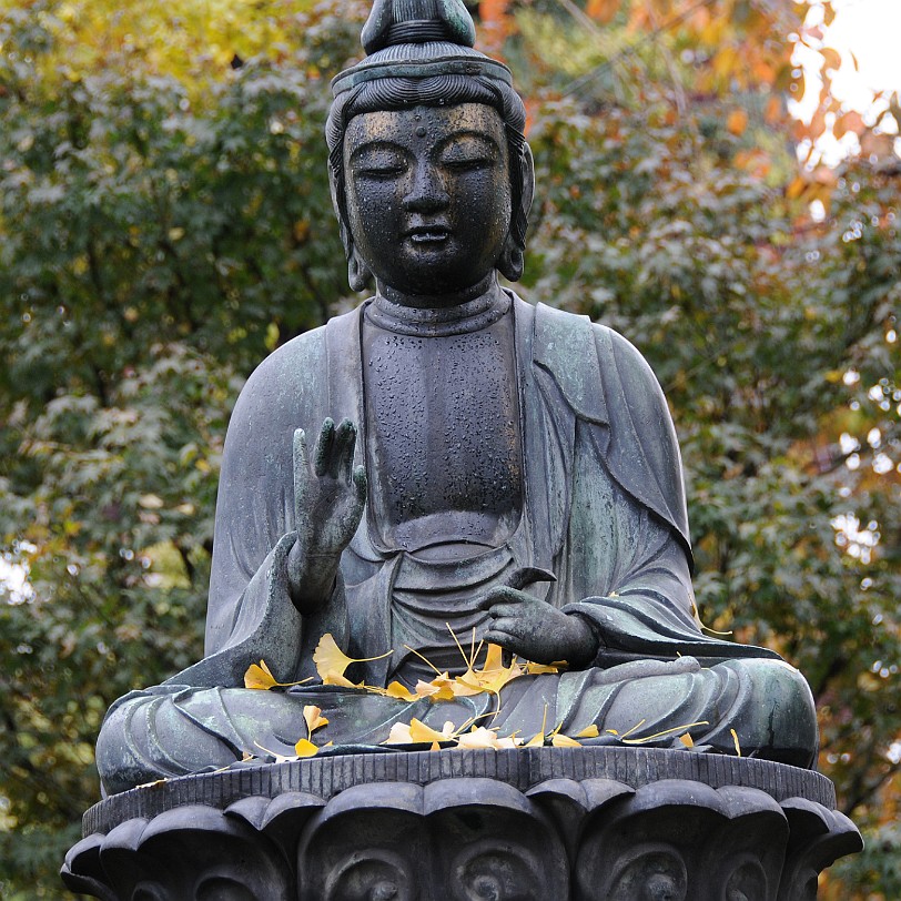 DSC_6482 Senso-ji (jap. Kinryu-zan Sensoji) ist ein buddhistischer Tempel in Asakusa, Tokio. Es ist Tokios ältester und bedeutendster Tempel.