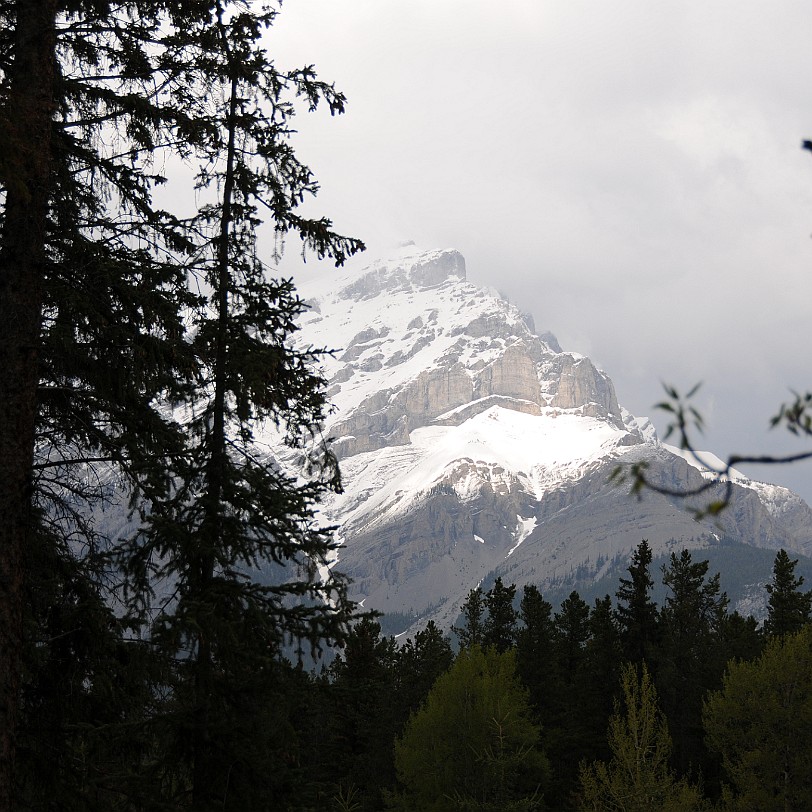 DSC_0305 Kanada; Alberta; Banff; Nationalpark