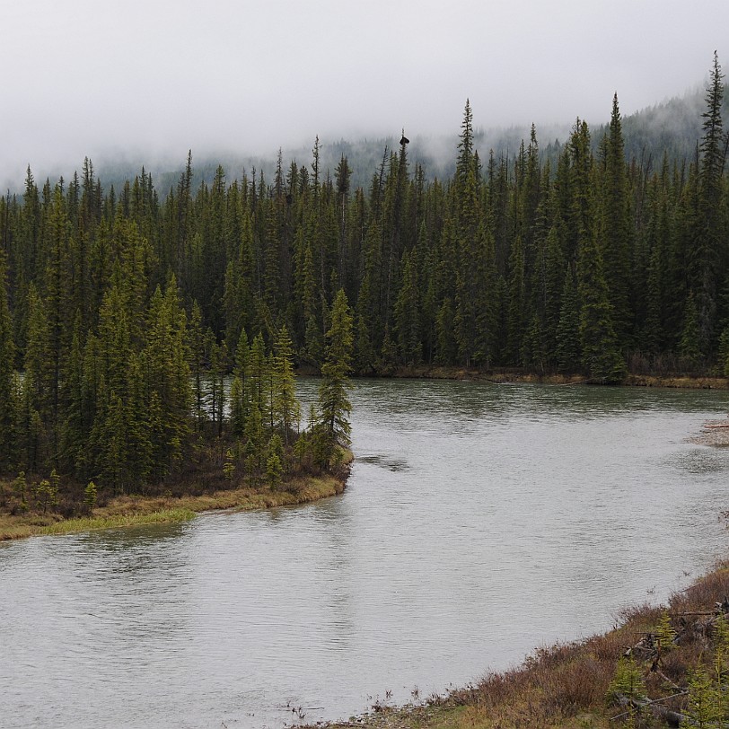 DSC_0347 Kanada; Alberta; Lake Louise; Nationalpark; Rocky Mountains Irgendwo unterwegs zwischen Banff und Jasper.