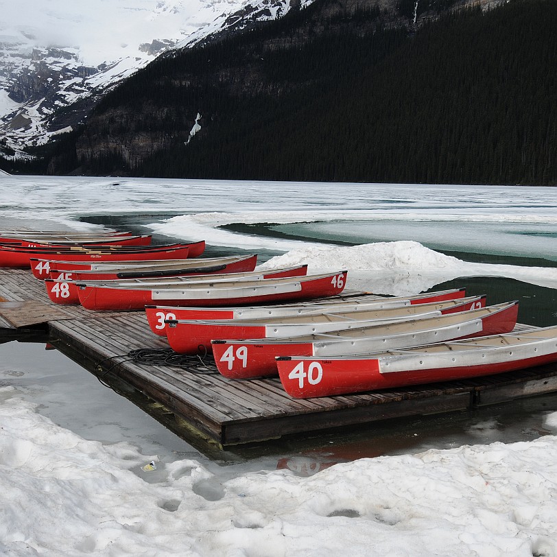 DSC_0397 Kanada; Alberta; Lake Louise; Nationalpark; Rocky Mountains