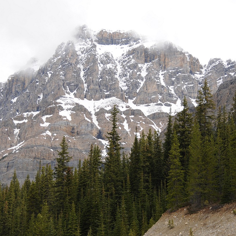 DSC_0402 Kanada; Alberta; Icefield Parkway; Nationalpark; Jasper; Banff
