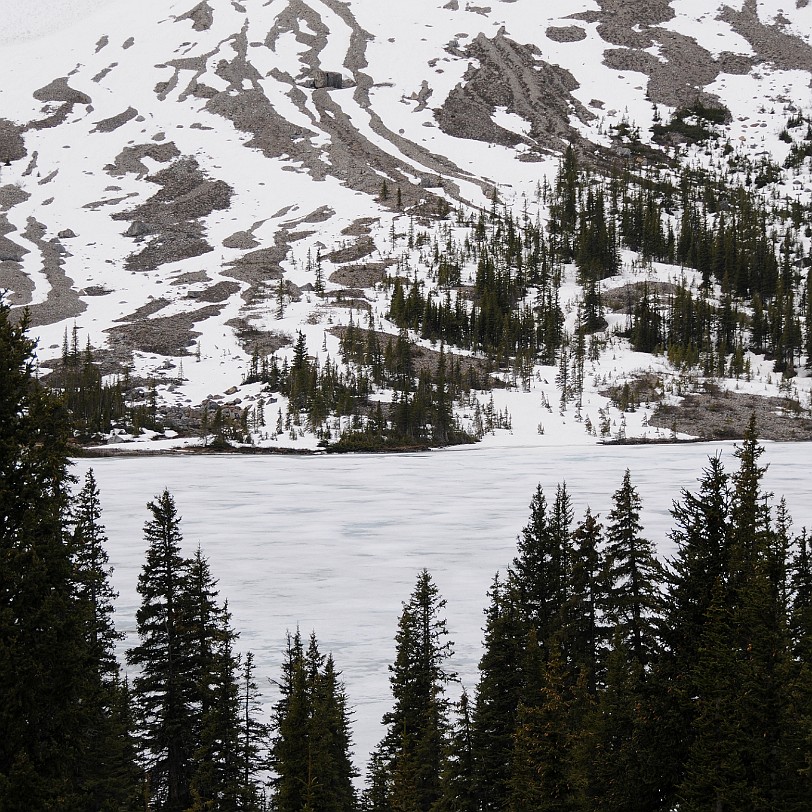 DSC_0418 Kanada; Alberta; Icefield Parkway; Nationalpark; Jasper; Banff