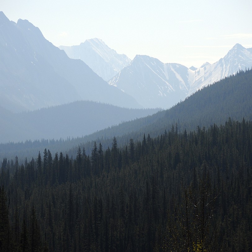 DSC_0548 Kanada; Alberta; Nationalpark; Jasper; Medicine Lake