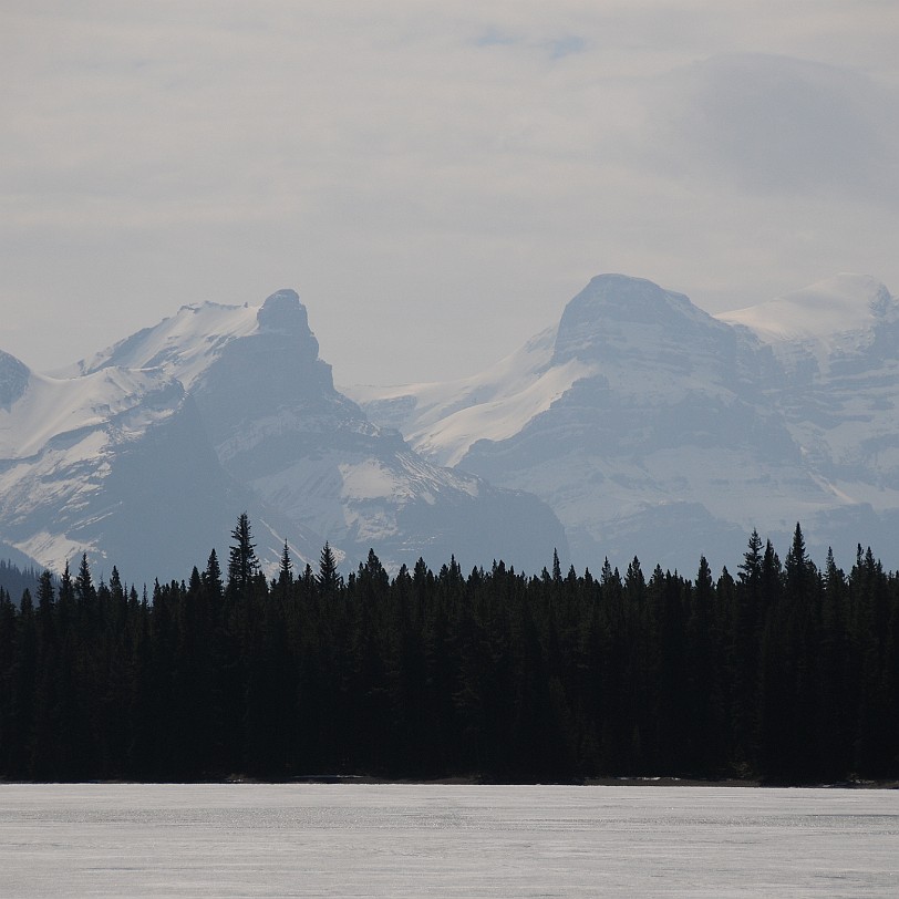 DSC_0590 Kanada; Alberta; Nationalpark; Jasper; Maligne Lake