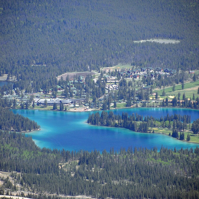 DSC_0600 Kanada; Alberta; Nationalpark; Jasper; Jasper Tramway; Whistlers Mountain