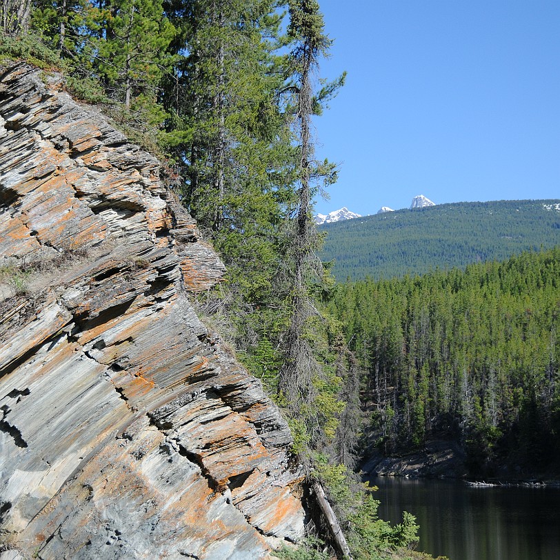 DSC_0672 Alberta; Jasper; Kanada; Mount Robson Park