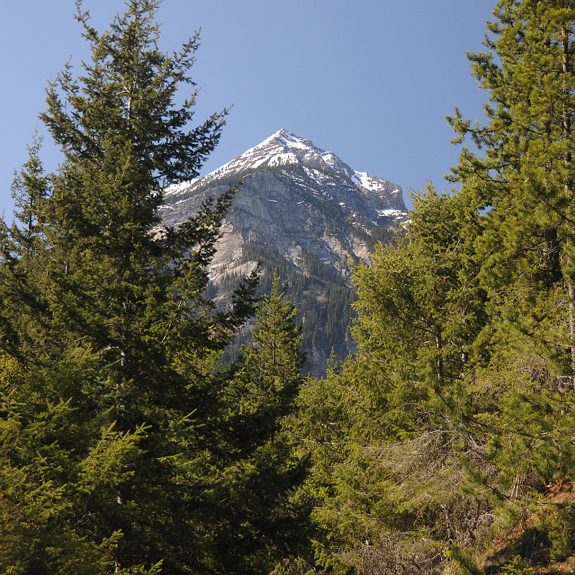 DSC_0700 British Columbia; Kanada; Yellowhead Highway