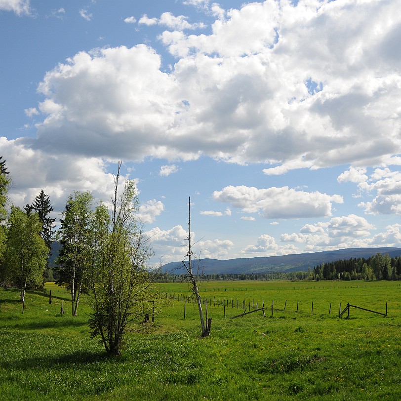 DSC_0782 British Columbia; Kanada; Clearwater; Nakiska Ranch; Wells Gray Provincial Park