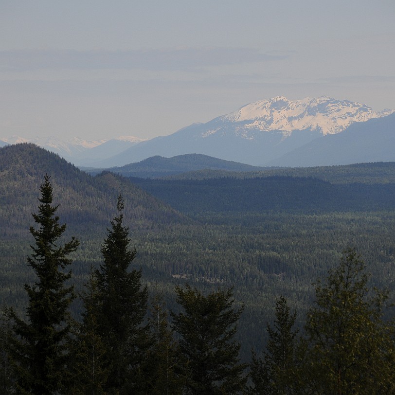 DSC_0802 Kanada; British Columbia; Clearwater; Nakiska Ranch; Green Mountain Viewing