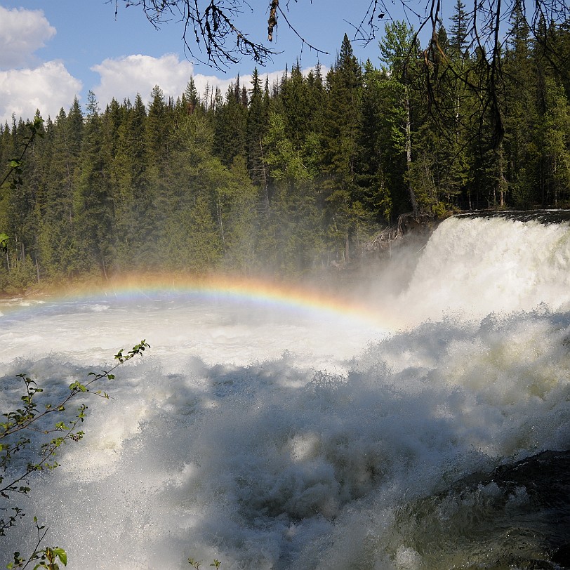 DSC_0814 Kanada; British Columbia; Clearwater; Nakiska Ranch; Dawson Falls