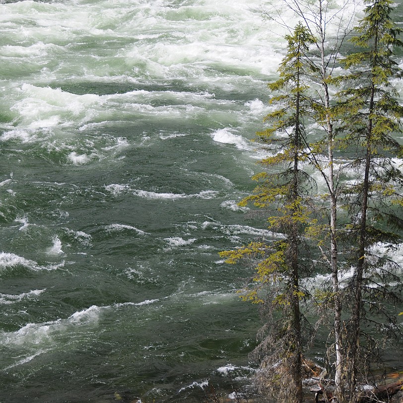 DSC_0846 Kanada; British Columbia; Clearwater; Nakiska Ranch; Clearwater River