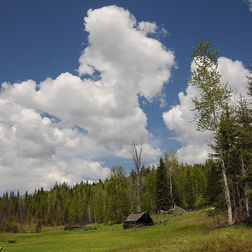 DSC_0856 Kanada; British Columbia; Clearwater; Nakiska Ranch; Ray Farm