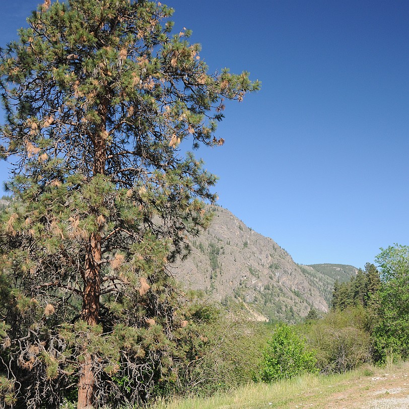 DSC_0924 Kanada; British Columbia; Penticton; Hwy 97; Oliver