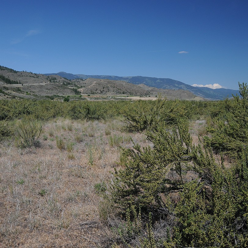 DSC_0949 Kanada; British Columbia; Osoyoos; Desert Centre