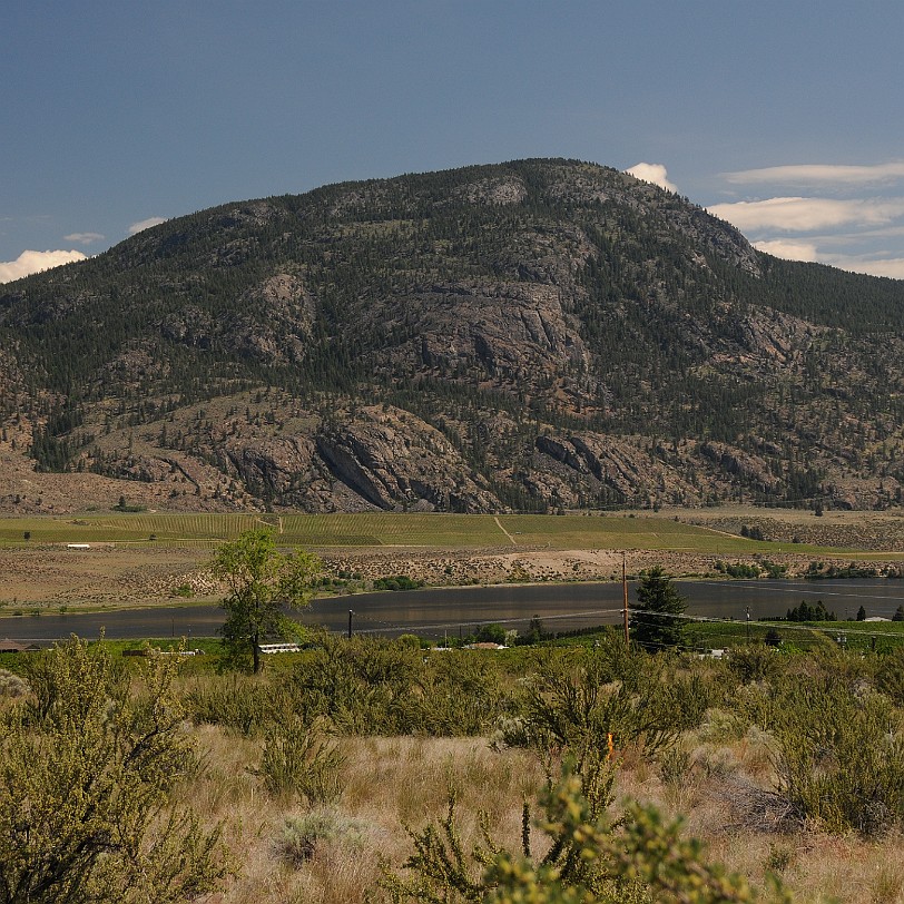 DSC_0954 Kanada; British Columbia; Osoyoos; Desert Centre