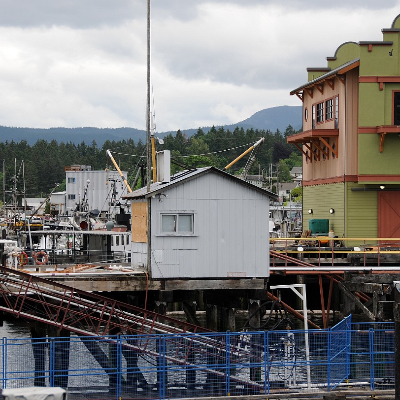 DSC_1288 Kanada; British Columbia; Vancouver Island; Port Alberni