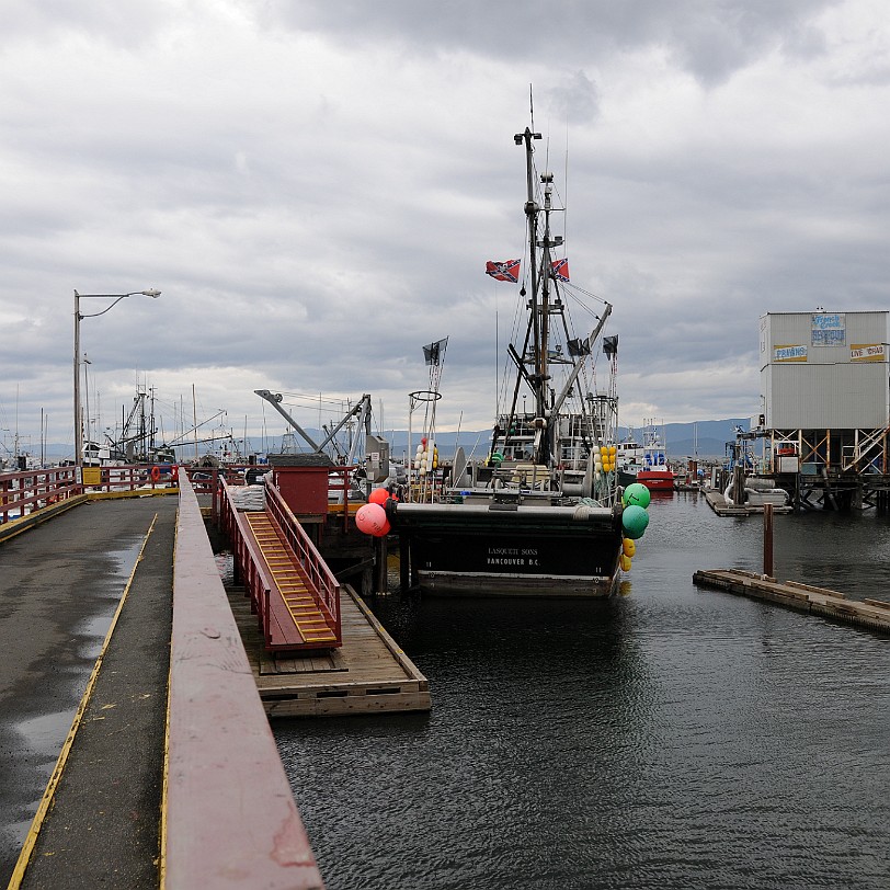 DSC_1298 Kanada; British Columbia; Vancouver Island; Parksville; French Creek Marina