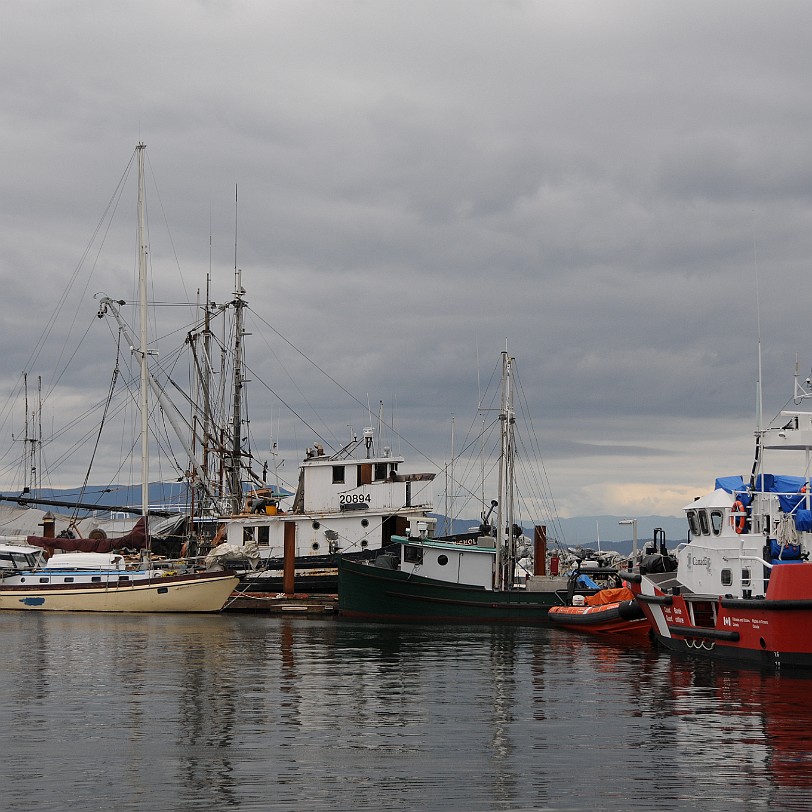 DSC_1304 Kanada; British Columbia; Vancouver Island; Parksville; French Creek Marina