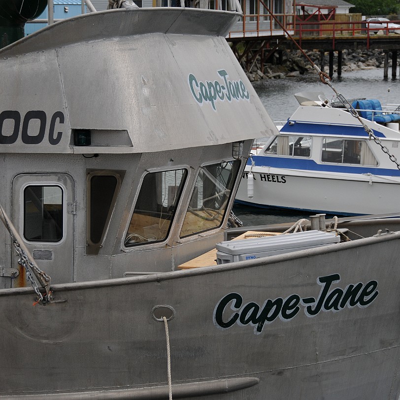 DSC_1309 Kanada; British Columbia; Vancouver Island; Parksville; French Creek Marina