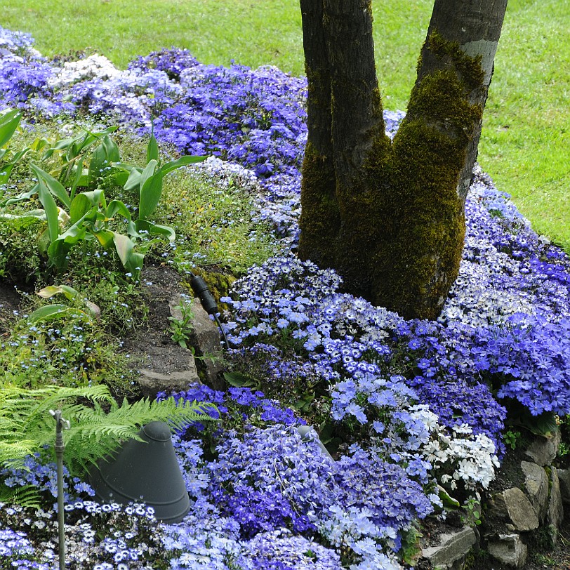 DSC_1398 Kanada; British Columbia; Vancouver Island; The Buchart Gardens