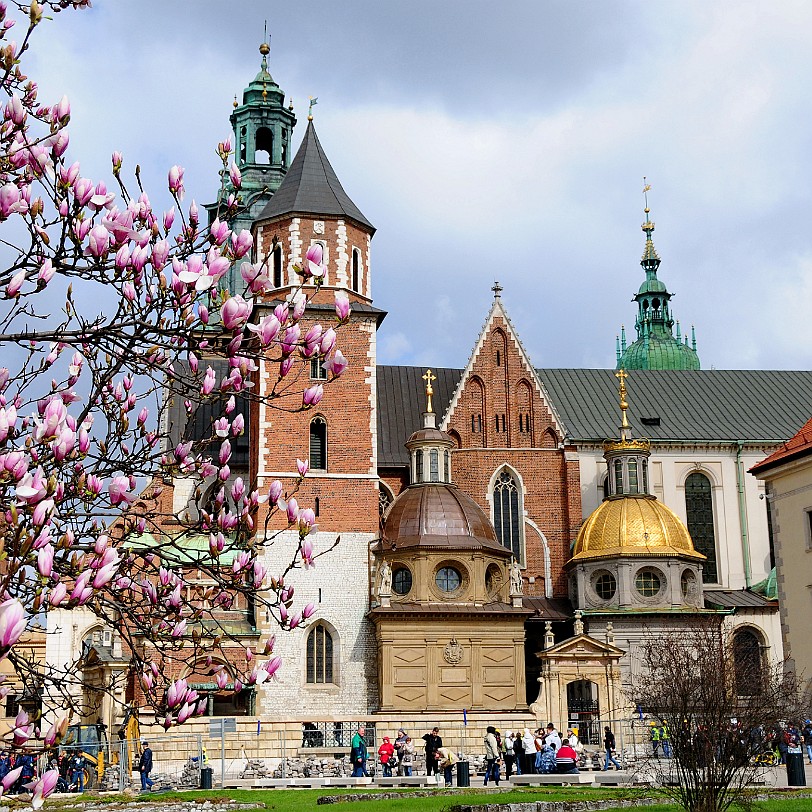 2011-04 Krakau [270] Die Kathedrale St. Stanislaus und Wenzel in Krakau ist die Bischofskirche des Erzbistums Krakau. Sie steht auf dem Wawel-Hügel. An der Stelle der heutigen...
