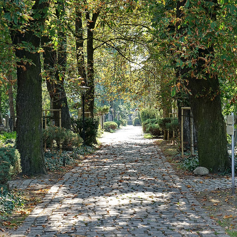 DSC03519 Der Alte Jüdische Friedhof (Breslau) ist der ältere der beiden erhaltenen jüdischen Friedhöfe (polnisch: cmentarz zydowski) von Breslau (Wroclaw). Er befindet...