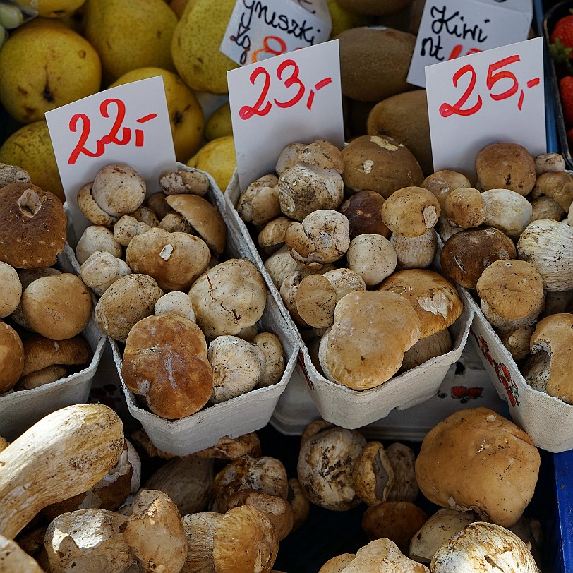 DSC03361 Die Planungen für eine neue Markthalle entstanden ab 1905. Der Markt wurde bis dahin auf dem Breslauer Neumarkt abgehalten. Für die Planungen und Entwürfe waren...