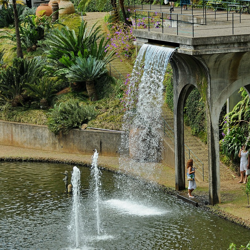 2012-09 Madeira [163] Der Botanische Garten seit 2011 eine Parkanlage mit exotischen Pflanzen. Die Anlage entstand 1960 auf dem früheren Anwesen der Familie Ritz. Das über 35.000 m²...