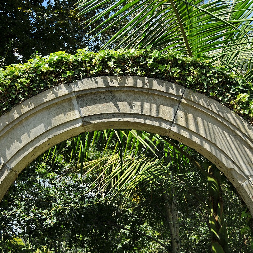 2012-09 Madeira [165] Der Botanische Garten seit 2011 eine Parkanlage mit exotischen Pflanzen. Die Anlage entstand 1960 auf dem früheren Anwesen der Familie Ritz. Das über 35.000 m²...