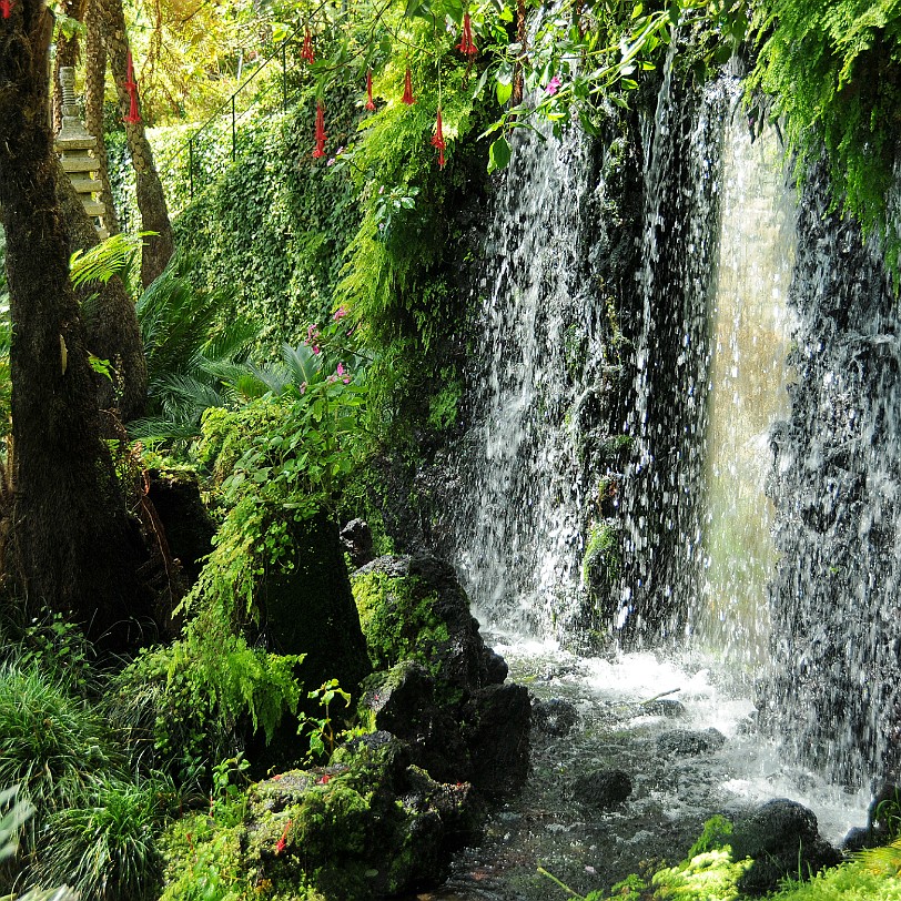 2012-09 Madeira [173] Der Botanische Garten seit 2011 eine Parkanlage mit exotischen Pflanzen. Die Anlage entstand 1960 auf dem früheren Anwesen der Familie Ritz. Das über 35.000 m²...