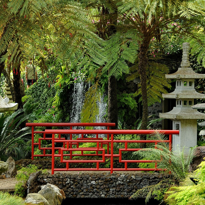 2012-09 Madeira [180] Der Botanische Garten seit 2011 eine Parkanlage mit exotischen Pflanzen. Die Anlage entstand 1960 auf dem früheren Anwesen der Familie Ritz. Das über 35.000 m²...