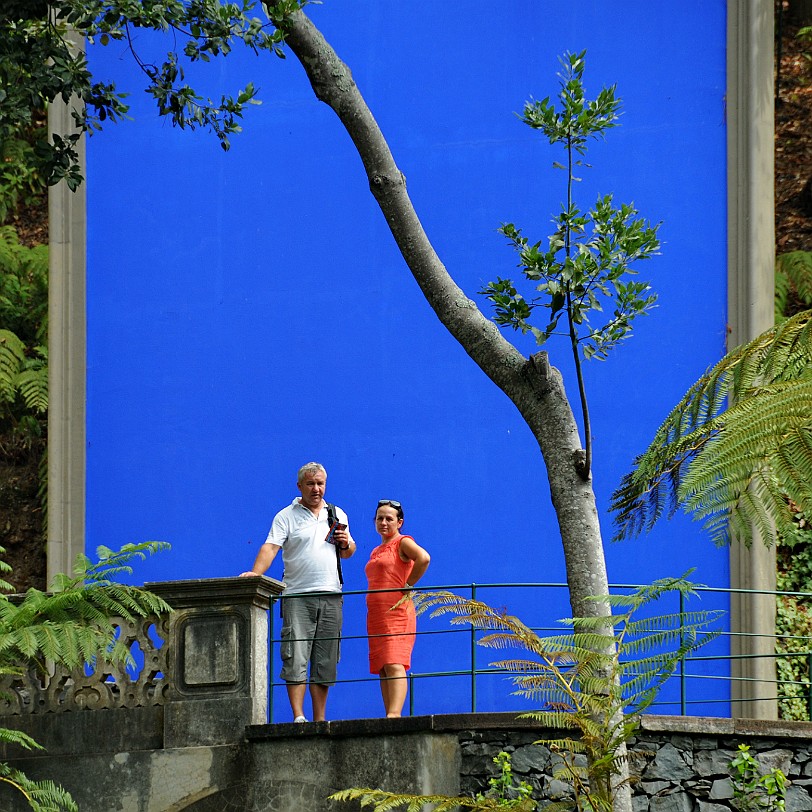 2012-09 Madeira [196] Der Botanische Garten seit 2011 eine Parkanlage mit exotischen Pflanzen. Die Anlage entstand 1960 auf dem früheren Anwesen der Familie Ritz. Das über 35.000 m²...