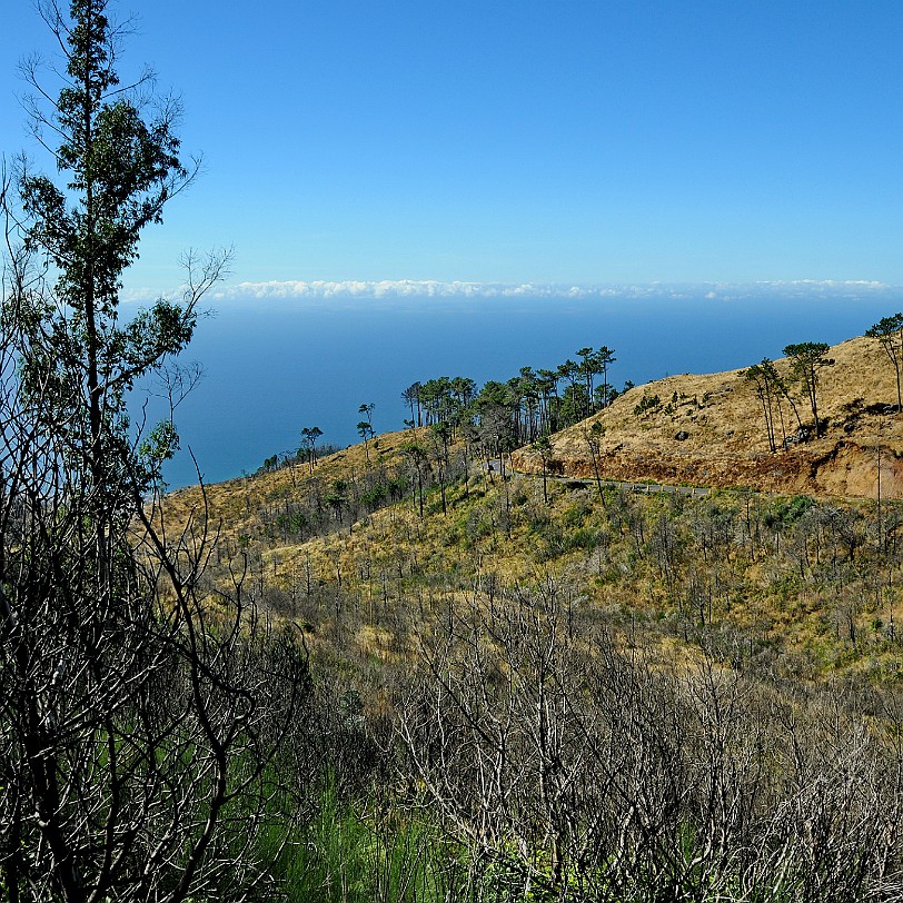 2012-09 Madeira [358] Ribeiro Frio (kalter Fluss) ist ein Naturpark, der im Norden in einem steilen Tal umgeben von Bergen liegt. Ein beliebter Haltepunkt für Einheimische und...